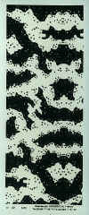 22.JPEG (72106 octets)