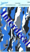 cam2.JPEG (37584 octets)