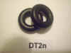 DT2n.jpg (48270 octets)