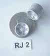 RJ2.jpg (47784 octets)