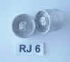 RJ6.JPG (36565 octets)