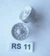 RS11.jpg (41820 octets)