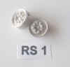 RS1.jpg (23754 octets)