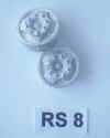 RS8.JPG (36655 octets)